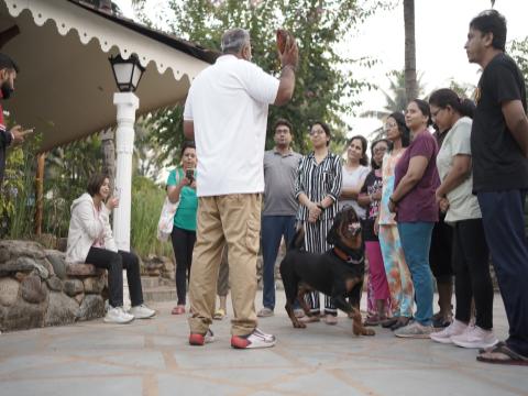 Training on How to Overcome Dog Phobia